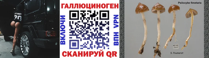 Псилоцибиновые грибы Magic Shrooms  Купить  Железногорск-Илимский 